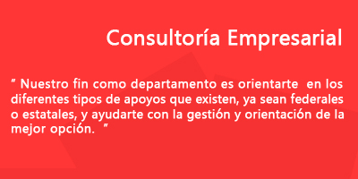 consultoría empresarial
